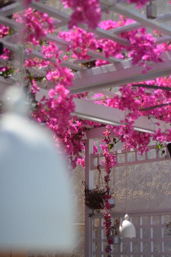 Villa Iokasti Hersonissos  Exteriör bild